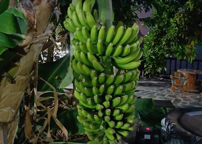 La Era De Catuja Дом отдыха *